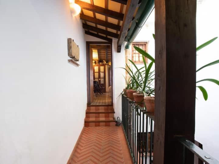 Historic House In The City Center Seville Exterior photo